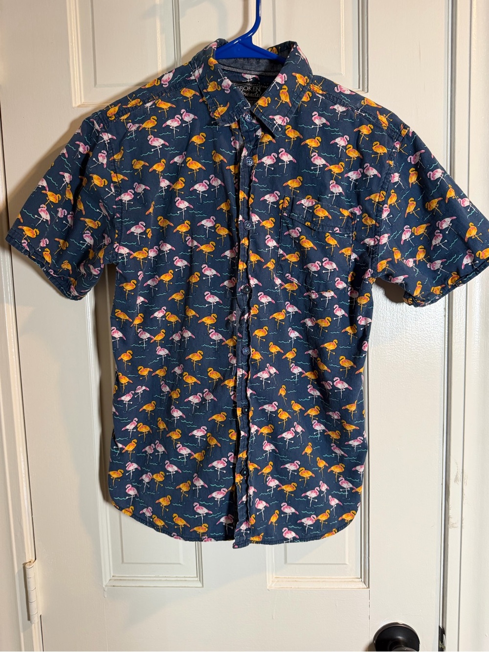 Broken Threads Teens L Blue Flamingo Animal Print Cotton Woven Button-Up Shirt